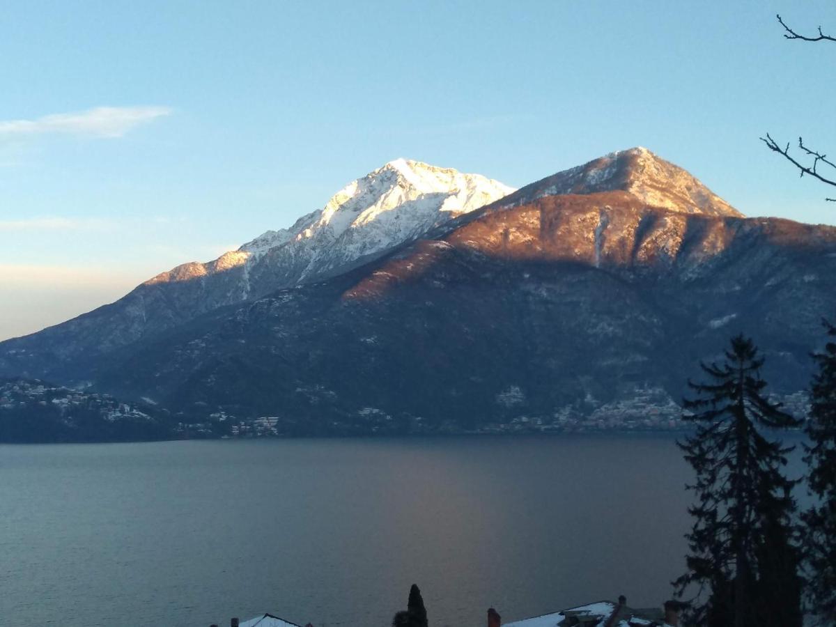 Apartament Il Terrazzino Musso Zewnętrze zdjęcie