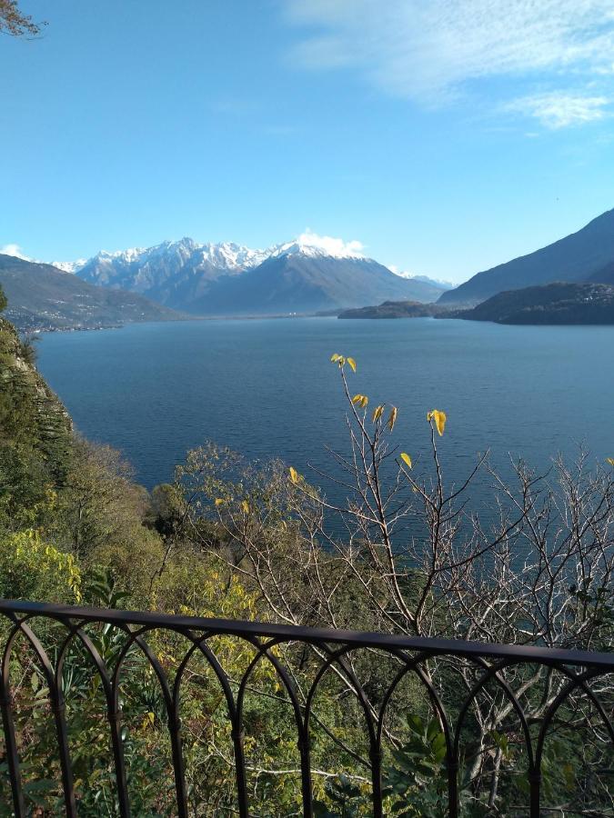 Apartament Il Terrazzino Musso Zewnętrze zdjęcie